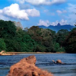 Reserva Biológica Montaña de Botaderos - Juticalpa