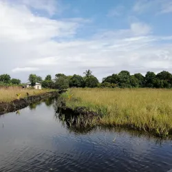 Reserva Biológica Montaña de Botaderos - Juticalpa