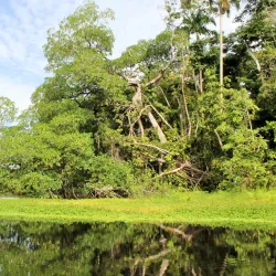 Cuero y Salado Wildlife Refuge - La Ceiba