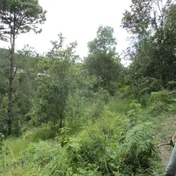 Museo de la Ciudad de La Ceiba - La Ceiba