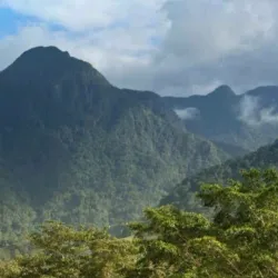 Pico Bonito National Park - La Ceiba