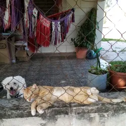 La Lima Cultural Center - La Lima