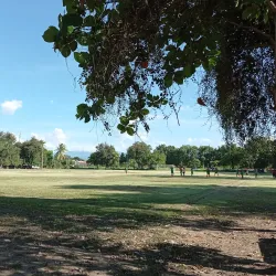 Local Soccer Matches - La Lima