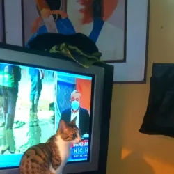 Local Soccer Matches - La Lima