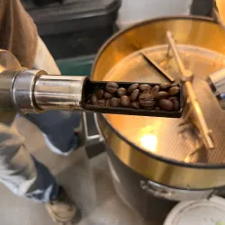 Nearby Coffee Plantations - La Lima