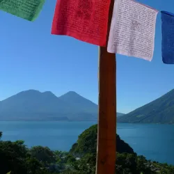 Nearby Coffee Plantations - La Lima