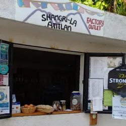 Nearby Coffee Plantations - La Lima