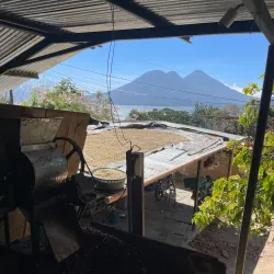 Nearby Coffee Plantations - La Lima