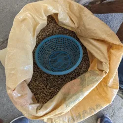 Nearby Coffee Plantations - La Lima