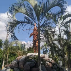 Parque Central de La Lima - La Lima