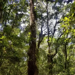 Parque Nacional La Tigra - La Paz