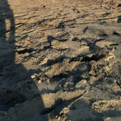 Playa La Ceiba - Nacaome