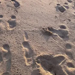 Playa La Ceiba - Nacaome