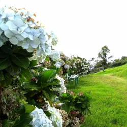 Reserva Natural Cerro El Pital - Nacaome