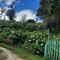 Reserva Natural Cerro El Pital - Nacaome