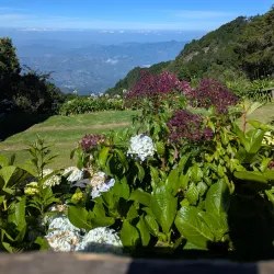 Reserva Natural Cerro El Pital - Nacaome