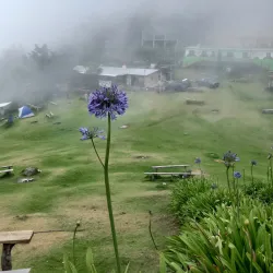 Reserva Natural Cerro El Pital - Nacaome