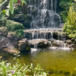 Blue Harbor Tropical Arboretum - Roatan