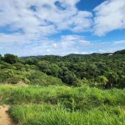 Blue Harbor Tropical Arboretum - Roatan