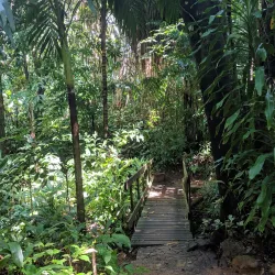 Carambola Botanical Gardens - Roatan