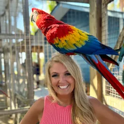 Daniel Johnson's Monkey and Sloth Hangout - Roatan