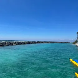 Daniel Johnson's Monkey and Sloth Hangout - Roatan