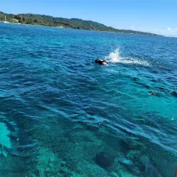 Half Moon Bay - Roatan