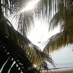 Half Moon Bay - Roatan