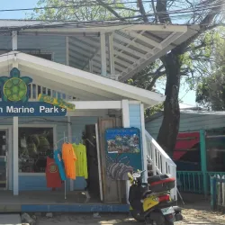 Roatan Marine Park - Roatan