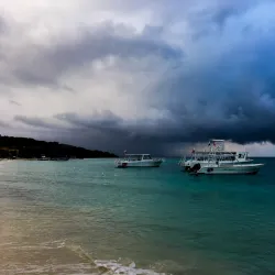 Roatan Marine Park - Roatan