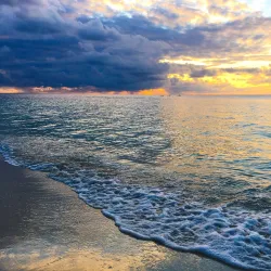 Roatan Marine Park - Roatan