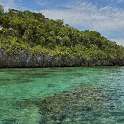 Roatan Marine Park - Roatan