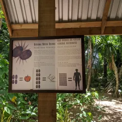The Carambola Botanical Gardens and Trails - Roatan