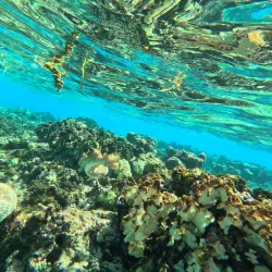 West Bay Beach - Roatan