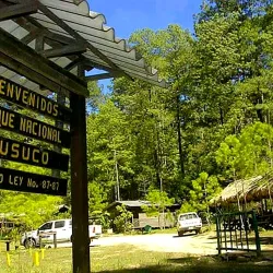 Cusuco National Park - San Pedro Sula