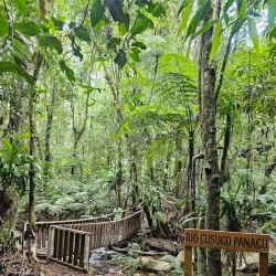 Cusuco National Park - San Pedro Sula