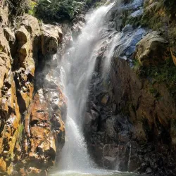 Cusuco National Park - San Pedro Sula