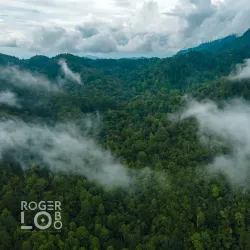 Cusuco National Park - San Pedro Sula
