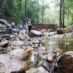 Cusuco National Park - San Pedro Sula