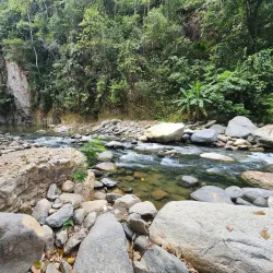 Cusuco National Park - San Pedro Sula