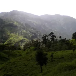 Cusuco National Park - San Pedro Sula