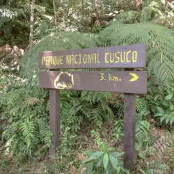 Cusuco National Park - San Pedro Sula