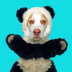 Museum of Modern Art - San Pedro Sula