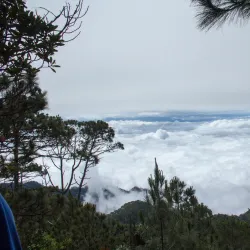 Cerro Las Minas - Santa Barbara