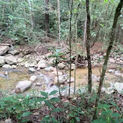 Cerro Las Minas - Santa Barbara