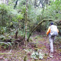 Cerro Las Minas - Santa Barbara