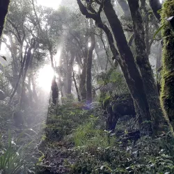 Cerro Las Minas - Santa Barbara