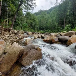 Cerro Las Minas - Santa Barbara