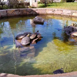 Parque Central de Santa Barbara - Santa Barbara