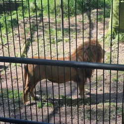 Parque Natural El Picacho - Santa Barbara